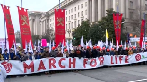 Multitudinaria Marcha por la Vida 