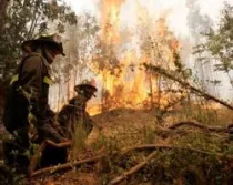 Arzobispo de Concepción lanza llamado de solidaridad ante incendios en municipios de la región. 