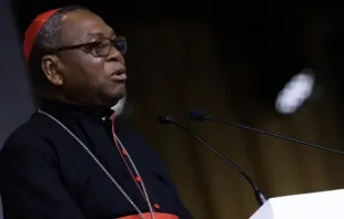 Cardenal John Onaiyekan hablando en Congreso Internacional Eucarístico en Budapest, Hungría. Crédito: Daniel Ibañez / CNA. 
