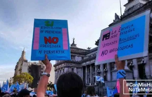 1ra Marcha contra la ideologu00eda de gu00e9nero en las escuelas de Argentina / Gentileza: Con Mis Hijos No Te Metas   