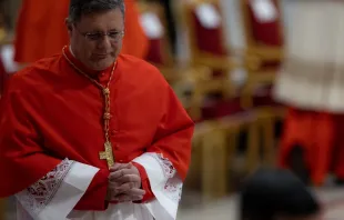 Paulo Cezar Costa recién nombrado cardenal. Crédito: Daniel Ibáñez/ACI Prensa 