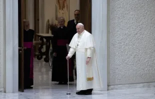 El Papa Francisco en la Audiencia General. Crédito: Daniel Ibáñez/ACI Prensa 