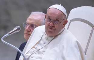 El Papa Francisco, durante la audiencia general del 7 de agosto de 2024. Crédito: Daniel Ibáñez / EWTN News.