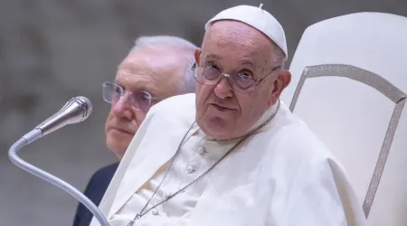 El Papa Francisco, durante la audiencia general del 7 de agosto de 2024.