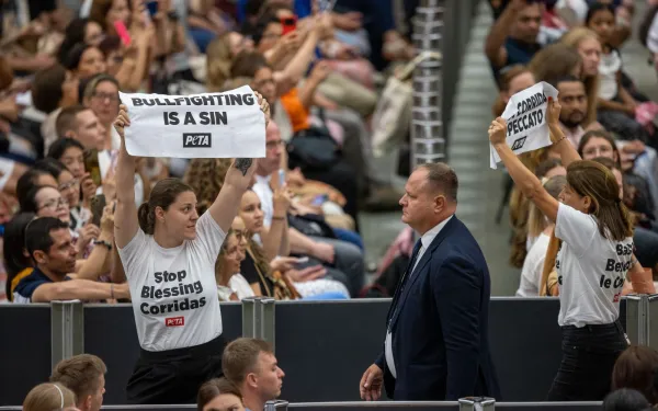 Two animal activists from PETA break into the Paul VI Hall of the Vatican in the middle of the general audience.  Credit: Daniel Ibáñez / EWTN News.