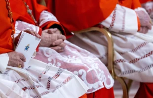 Los cardenales siguen la ceremonia durante el consistorio público ordinario para la creación de nuevos cardenales en la Basílica de San Pedro, Ciudad del Vaticano, el 7 de diciembre de 2024. Crédito: Daniel Ibáñez / EWTN News.