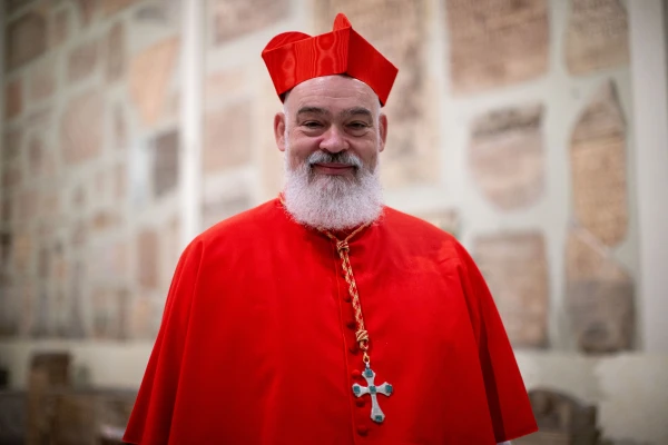 Cardenal Dominique Joseph Mathieu. Crédito: Daniel Ibáñez / EWTN News