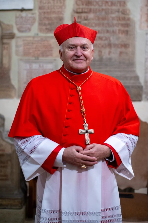 Cardenal Ladislav Nemet. Crédito: Daniel Ibáñez / EWTN News