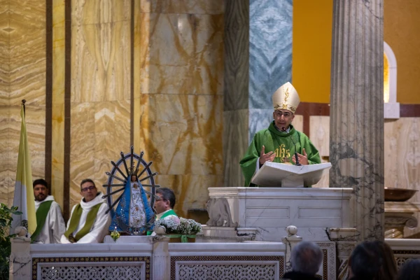 Cardinal Reina, with the Virgin of Luján in the background. Credit: Daniel Ibañez/ Ewtn News