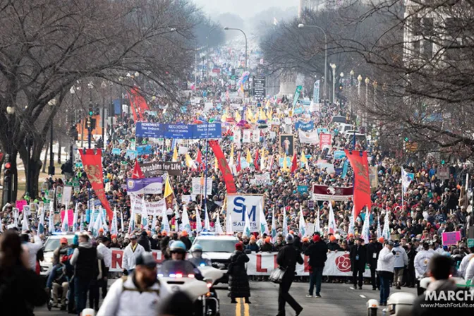 Advierten que campaña difamatoria contra ADF busca dividir al movimiento provida