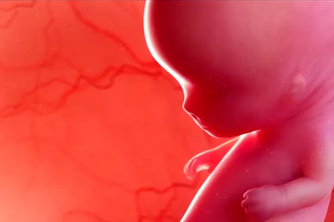 Campeón del Super Bowl lanza documental que enseña la verdad detrás del aborto