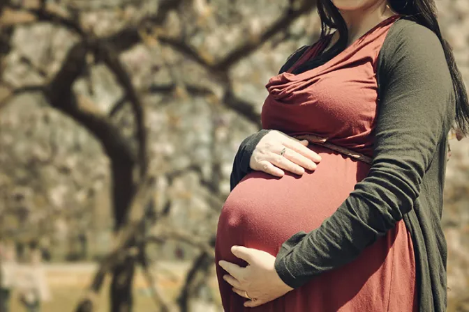 Gobierno aprueba proyecto de ley del referéndum sobre el aborto en Irlanda