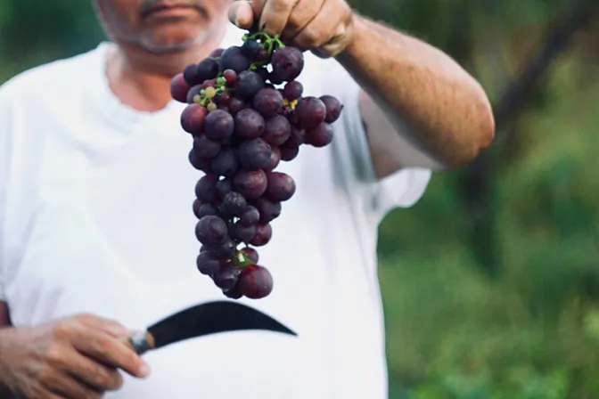 Agricultor católico demanda a ciudad que lo discriminó por sus creencias sobre matrimonio