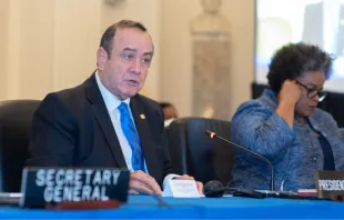 Presidente de Guatemala, Alejandro Giammattei, en sesión protocolar del Consejo Permanente de la OEA. Crédito: Juan Manuel Herrera/OAS (CC BY-NC-ND 2.0). 
