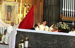 Imagen referencial / Mons. Alfonso Mirnada Guardiola celebra la Misa en la Basílica de Guadalupe. Crédito: David Ramos / ACI Prensa. 