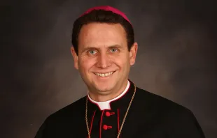 Mons. Andrew H. Cozzens / Crédito: Arquidiócesis de Saint Paul y Minneapolis 