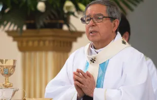 Presidente del Episcopado de Colombia, Mons. Luis José Rueda Aparicio. Crédito: Cortesía Eduardo Berdejo / ACI Prensa 