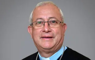 Mons. Misael Vacca Ramírez, nuevo Arzobispo de Villavicencio. Crédito: International Catholic Migration Commission (ICMC). 