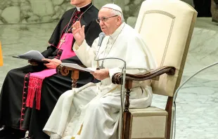El Papa durante la Audiencia. Foto: Lucía Ballester / ACI Prensa 