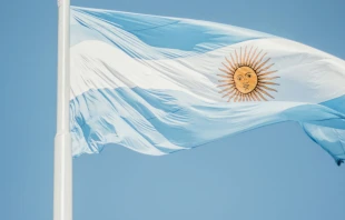 Bandera de Argentina. Cru00e9dito: Angu00e9lica Reyes, Unsplash. 