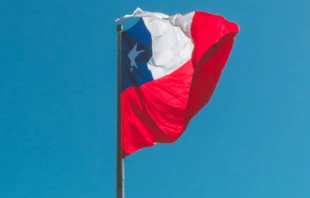 Bandera chilena. Cru00e9dito: Allan Rodriguez, Unsplash. 