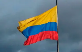 Bandera de Colombia. Crédito: Felipe Restrepo Acosta (Wikipedia) (CC-BY-SA-4.0) 