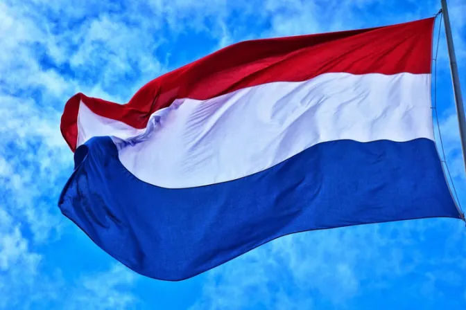 La mitad de obispos de Holanda estarían relacionados a casos de abusos, señala informe