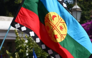 Bandera mapuche / Foto: Wikiflags.com 