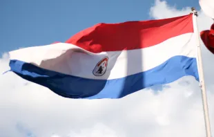 Bandera de Paraguay / Crédito: Flickr Tetsumo (CC BY 2.0) 