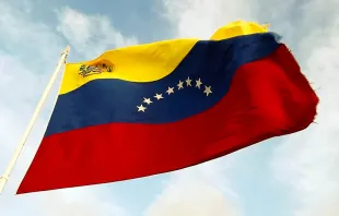 Bandera de Venezuela. Foto: Flickr Anyul Rivas CC-BY-2.0 