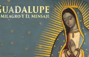 Foto : Banner de “Guadalupe el Milagro y el Mensaje” / Crédito : Caballeros de Colón  Caballeros de Colón