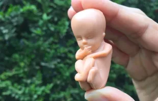 Imagen referencial / Figura de bebé en el vientre a las 12 semanas de gestación. Crédito: David Ramos / ACI Prensa. 