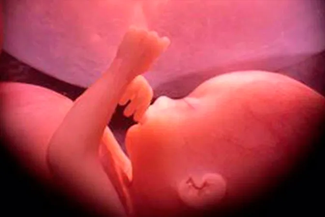Celebración del aborto en senado de Nueva York es una “escena del infierno”, dice Obispo