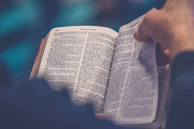 Universidad lanza un curso gratuito sobre la Biblia y sus manuscritos