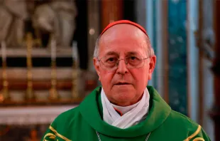 El Cardenal Ricardo Blázquez en la toma de posesión - Foto: Daniel Ibáñez / ACI Prensa 
