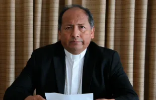 Mons. Ricardo Centellas, vicepresidente de la Conferencia Episcopal Boliviana / Crédito: © Iglesia Viva 