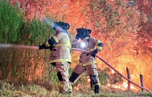 Bomberos trabajan para combatir los incendios en Chile. Crédito: Twitter Bomberos de Chile 