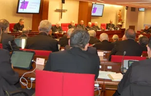 Plenaria de la Conferencia Episcopal Española. Crédito: CEE 