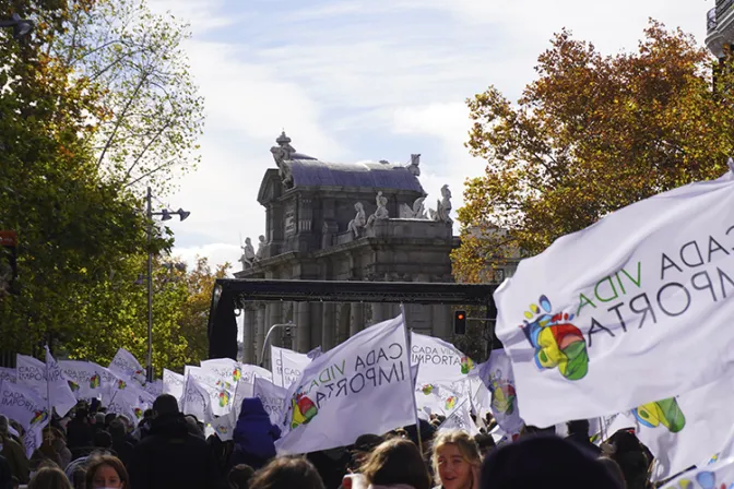 Miles se manifestaron en España por la defensa de la vida