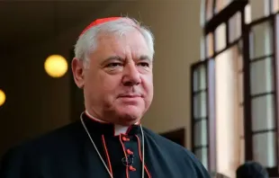 El Cardenal Gerhard Müller. Foto: ACI Prensa 