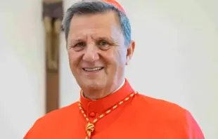 Secretario General del Sínodo de los Obispos, Cardenal Mario Grech. Crédito: Diócesis de Gozo (Wikipedia CC BY-SA 4.0) 