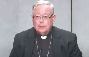 Cardenal Jean-Claude Hollerich. Crédito: Youtube Vatican News 