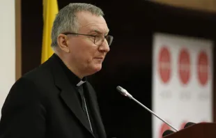 Cardenal Pietro Parolin. Crédito: Daniel Ibáñez / ACI Prensa 
