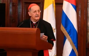 Cardenal Beniamino Stella. Crédito: Cuenta de Twitter de Miguel Díaz-Canel, presidente de Cuba 