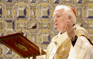 Cardenal Antonio Cau00f1izares, Arzobispo de Valencia (Espau00f1a). Foto: Agencia AVAN.  