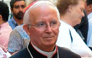 Cardenal Antonio Cau00f1izares / Foto: Wikipedia (Dominio Pu00fablico) 