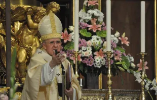 Cardenal Carlos Osoro, Arzobispo de Madrid (Espau00f1a). Foto: Archimadrid.  