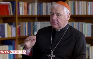 Cardenal Gerhard Mu00fcller, Prefecto Emu00e9rito de la Congregaciu00f3n para la Doctrina de la Fe. Foto: EWTN Noticias 