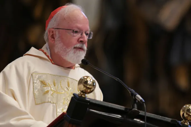 Cardenal sobre abusos en la Iglesia: “No tenemos nada que temer al decir la verdad”