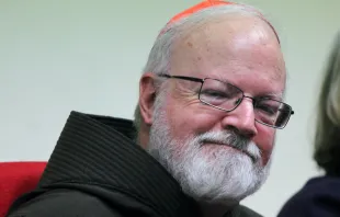 El Cardenal Sean O'malley. Foto: Bohumil Petrik / ACI Prensa 